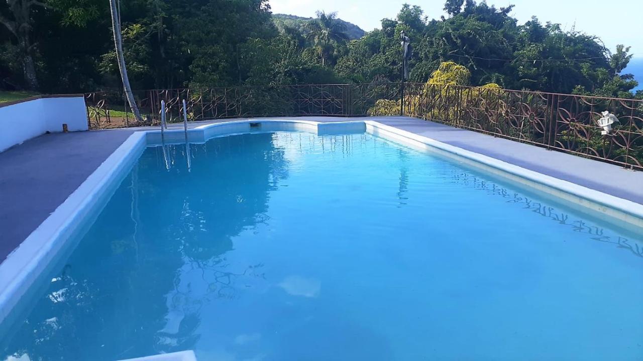Villa Dianna - Entire Villa, Roof Terrace, Pool, Garden, Sea Views Near Dunn'S River Ocho Rios Exterior foto